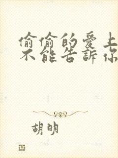 偷偷的爱上你却不能告诉你什么歌