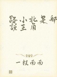 路小北是哪部小说主角