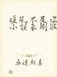 暖风不及你情深小说未删版完整