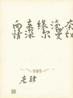 向来缘浅,奈何情深 尔曼txt下载