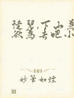 徒儿,下山为所欲为去吧小说小说