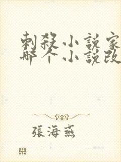 刺杀小说家根据哪个小说改编的