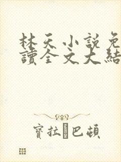林天小说免费阅读全文大结局