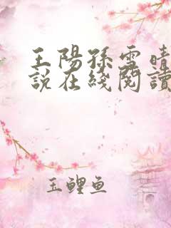 王阳孙雪晴的小说在线阅读