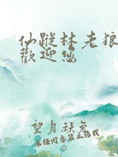 仙踪林老狼网址欢迎您