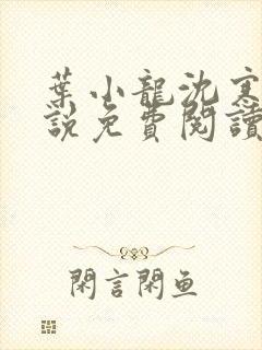 叶小龙沈寒溪小说免费阅读全文无弹窗