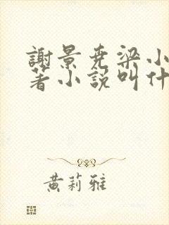 谢景尧梁小姐原著小说叫什么名字