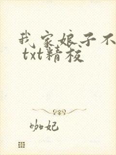 我家娘子不对劲 txt精校