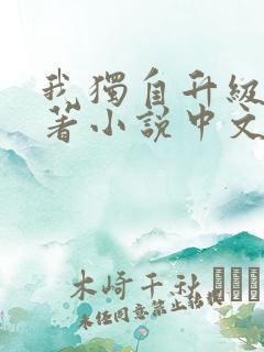 我独自升级的原著小说中文版