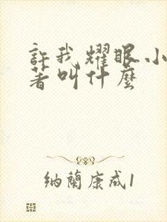 许我耀眼小说原著叫什么