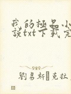 我的极品小姨小说txt下载完整版