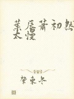 叶辰萧初然更新太慢