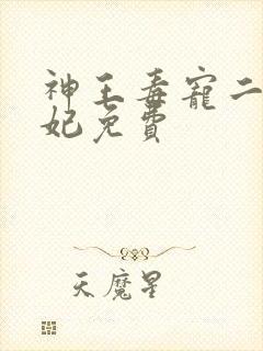 神王毒宠二嫁王妃免费