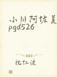 小川阿佐美丝袜pgd526