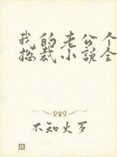 我的老公个个是总裁小说全文免费阅读