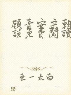 顾青安宋朝朝小说免费阅读