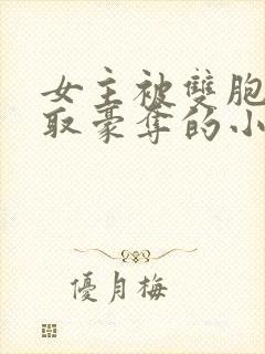 女主被双胞胎强取豪夺的小说