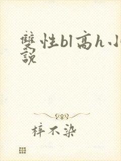 双性bl高h小说