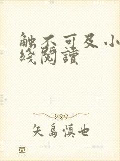 触不可及小说在线阅读