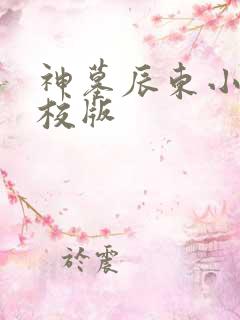 神墓辰东小说精校版