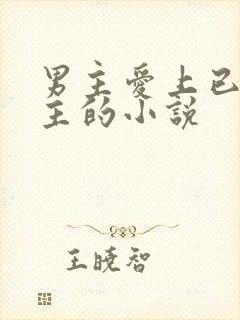 男主爱上已婚女主的小说