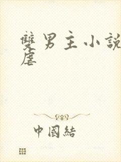 双男主小说推荐虐