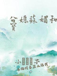 公媳苏媚和赵大宝