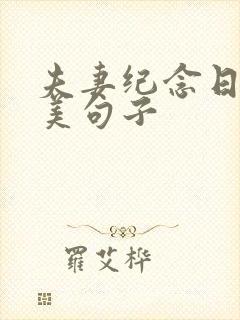 夫妻纪念日的唯美句子