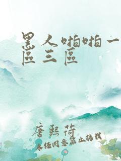 黑人啪啪一区二区三区