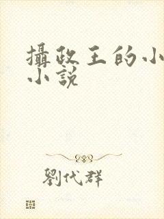 摄政王的小闲妻小说