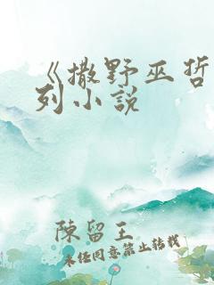 《撒野巫哲》系列小说