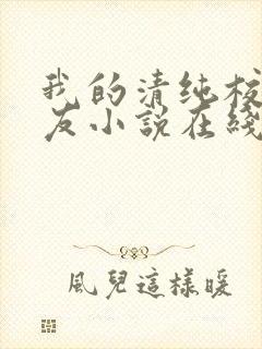 我的清纯校花女友小说在线阅读