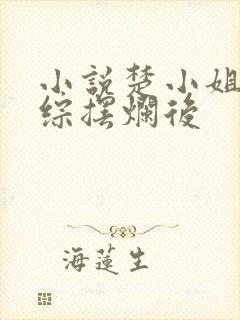 小说楚小姐在恋综摆烂后