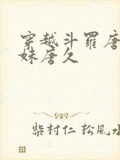 穿越斗罗唐三妹妹唐久