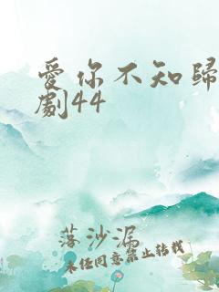 爱你不知归途短剧44