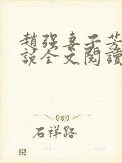 赵强妻子芳姨小说全文阅读