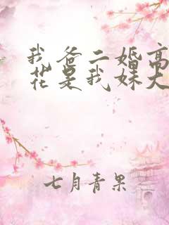 我爸二婚高冷校花是我妹大姐扮演者