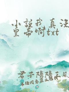 小说我真没想当皇帝啊txt
