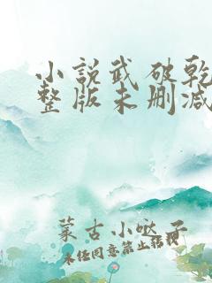 小说武破乾坤完整版未删减小说