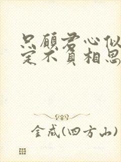 只愿君心似我心定不负相思意翻译