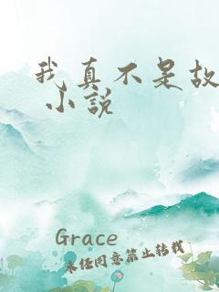 我真不是故意的 小说