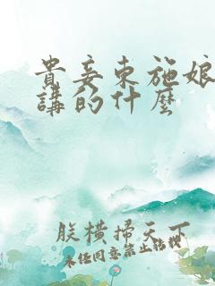 贵妾东施娘小说讲的什么