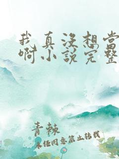 我真没想当皇帝啊小说完整版