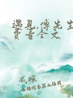 遇见,傅先生免费看全文