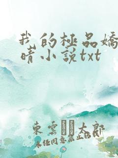 我的极品娇妻苏晴小说txt