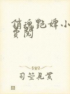 销魂艳婢小说免费阅