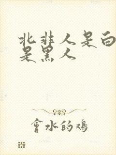 北非人是白人还是黑人