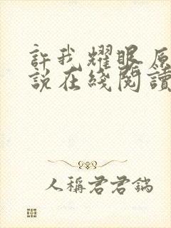 许我耀眼原著小说在线阅读