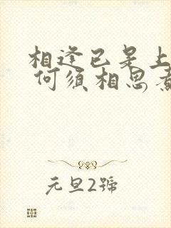 相逢已是上上签 何须相思煮余年是什么意思