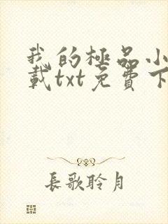 我的极品小姨下载txt免费下载